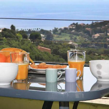 Cap Corse Uribellinu 2 Formule Petit Dejeuner Santa-Maria-di-Lota Buitenkant foto